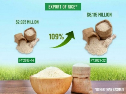 India's non-basmati rice exports more than double in 8 years | India's non-basmati rice exports more than double in 8 years