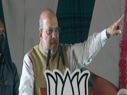 Only BJP can stop infiltration in Bengal, says Amit Shah | Only BJP can stop infiltration in Bengal, says Amit Shah