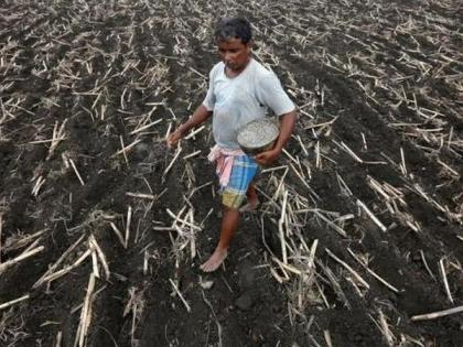 CCEA gives nod to establishing 10,000 new Farmer Producer Orgsations | CCEA gives nod to establishing 10,000 new Farmer Producer Orgsations