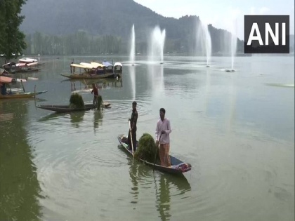 Cleanliness drive of Dal Lake in Srinagar in full swing | Cleanliness drive of Dal Lake in Srinagar in full swing