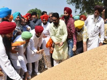 Punjab CM visits grain market in Rupnagar to kick start paddy procurement | Punjab CM visits grain market in Rupnagar to kick start paddy procurement