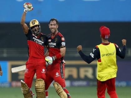 It didn't seem like a dead rubber: Hesson after RCB's thrilling win over DC | It didn't seem like a dead rubber: Hesson after RCB's thrilling win over DC