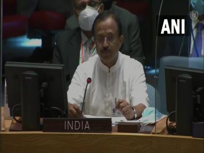 India raises concern over spread of terrorism in Africa at UNSC | India raises concern over spread of terrorism in Africa at UNSC