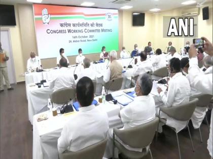 I am full-time, hands-on Congress President, says Sonia Gandhi at CWC meeting | I am full-time, hands-on Congress President, says Sonia Gandhi at CWC meeting