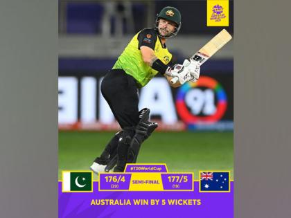 T20 WC: Was out of two team for 2-3 years and happy to just repay faith, says Matthew Wade | T20 WC: Was out of two team for 2-3 years and happy to just repay faith, says Matthew Wade