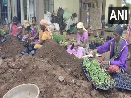People of tribal community in Gujarat village earning fortunes from nursery business | People of tribal community in Gujarat village earning fortunes from nursery business People of tribal community in Gujarat village earning fortunes from nursery business | People of tribal community in Gujarat village earning fortunes from nursery business