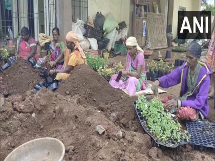 People of tribal community in Gujarat village earning fortunes from nursery business | People of tribal community in Gujarat village earning fortunes from nursery business