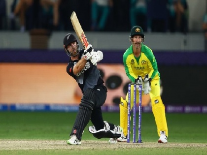 Williamson equals record of scoring most runs by any batter in T20 World Cup final | Williamson equals record of scoring most runs by any batter in T20 World Cup final
