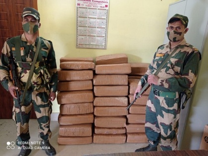 BSF, DRI seize 360 kg ganja in joint operation, arrest one person in Assam's Cacher | BSF, DRI seize 360 kg ganja in joint operation, arrest one person in Assam's Cacher