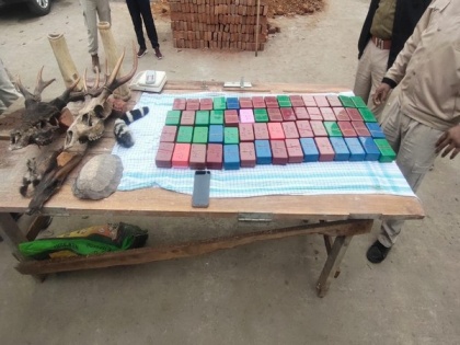 Two held in Assam, 795 gm heroin, wildlife products seized | Two held in Assam, 795 gm heroin, wildlife products seized