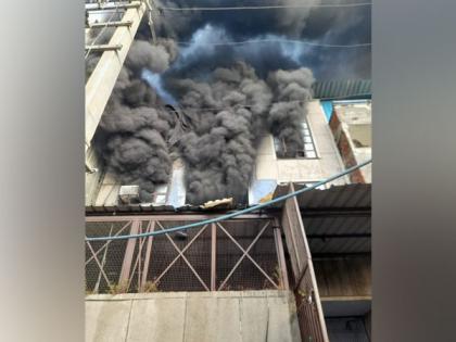 Fire breaks out at paper plates manufacturing unit in Delhi, firefighting operation underway | Fire breaks out at paper plates manufacturing unit in Delhi, firefighting operation underway