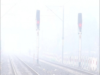 Dense fog, cold wave continues in North India | Dense fog, cold wave continues in North India