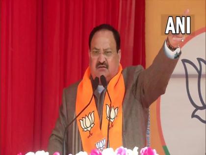 'Dynastic arrogance': Nadda hits out at RLD's Jayant Chaudhary for not casting vote | 'Dynastic arrogance': Nadda hits out at RLD's Jayant Chaudhary for not casting vote