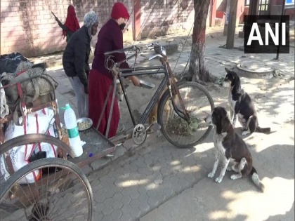 Tibetan nun feeds stray dogs in Bihar's Gaya since first nationwide COVID lockdown | Tibetan nun feeds stray dogs in Bihar's Gaya since first nationwide COVID lockdown