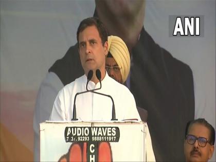 Amarinder Singh removed from Punjab CM post as he didn't agree to provide free electricity to poor: Rahul Gandhi | Amarinder Singh removed from Punjab CM post as he didn't agree to provide free electricity to poor: Rahul Gandhi Amarinder Singh removed from Punjab CM post as he didn't agree to provide free electricity to poor: Rahul Gandhi | Amarinder Singh removed from Punjab CM post as he didn't agree to provide free electricity to poor: Rahul Gandhi