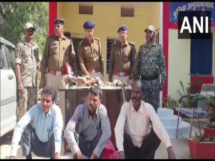 Three held for possession of leopard skin in Chhattisgarh | Three held for possession of leopard skin in Chhattisgarh