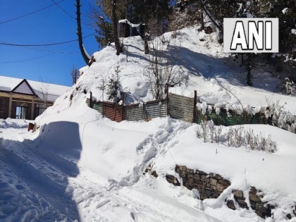 Shimla receives fresh spell of snowfall | Shimla receives fresh spell of snowfall