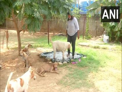 Odisha: Bhubaneswar-based NGO providing shelter to animals amid soaring temperatures | Odisha: Bhubaneswar-based NGO providing shelter to animals amid soaring temperatures