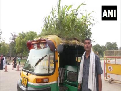 Auto richshaw with plants atop gives message for environment protection | Auto richshaw with plants atop gives message for environment protection