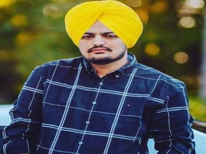 'Blood on CM's hands', Punjab Congress takes on AAP's Bhagwant Mann-led govt after Sidhu Moose Wala shot dead | 'Blood on CM's hands', Punjab Congress takes on AAP's Bhagwant Mann-led govt after Sidhu Moose Wala shot dead