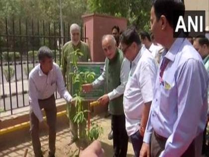 Election Commissioner plants saplings on World Environment Day | Election Commissioner plants saplings on World Environment Day Election Commissioner plants saplings on World Environment Day | Election Commissioner plants saplings on World Environment Day