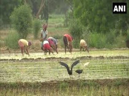 Farmer attempts suicide over land dispute in Dokulapadu village | Farmer attempts suicide over land dispute in Dokulapadu village