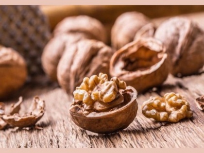Walnut demand increases this festive season, Chilean walnuts ruling the market | Walnut demand increases this festive season, Chilean walnuts ruling the market