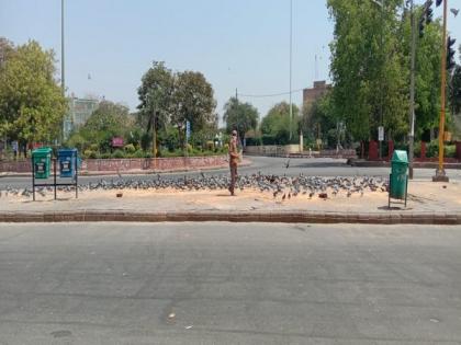 Delhi man feeds pigeons amid lockdown | Delhi man feeds pigeons amid lockdown