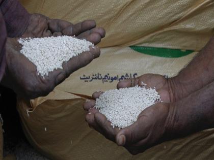 Sindh official blames Imran Khan govt for sharing allocated urea with Punjab | Sindh official blames Imran Khan govt for sharing allocated urea with Punjab Sindh official blames Imran Khan govt for sharing allocated urea with Punjab | Sindh official blames Imran Khan govt for sharing allocated urea with Punjab