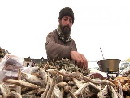 Kashmir sees increased demand for traditional dry fish 'hoggard' during winters | Kashmir sees increased demand for traditional dry fish 'hoggard' during winters