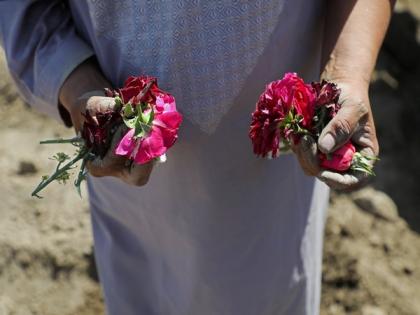 Flower sales decline in Kabul amid widespread poverty | Flower sales decline in Kabul amid widespread poverty