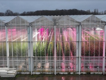Fluence launches modules of LED VYPR for greenhouse cultivators | Fluence launches modules of LED VYPR for greenhouse cultivators