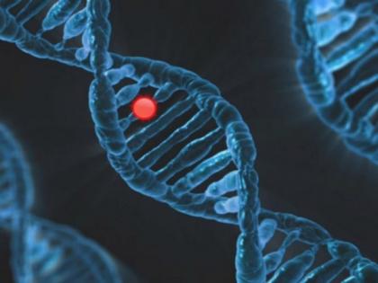 New study finds genetic, metabolic markers of embryos that stop dividing | New study finds genetic, metabolic markers of embryos that stop dividing New study finds genetic, metabolic markers of embryos that stop dividing | New study finds genetic, metabolic markers of embryos that stop dividing