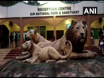 Gir national park reopens for tourists from today | Gir national park reopens for tourists from today