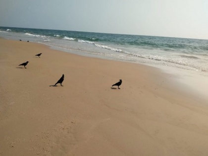 Goa faces a bleak tourist season | Goa faces a bleak tourist season