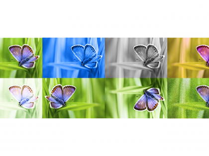 Google tests new tool to watermark, identify AI images | Google tests new tool to watermark, identify AI images Google tests new tool to watermark, identify AI images | Google tests new tool to watermark, identify AI images