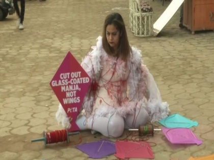PETA activist laments the plight of birds injured by kite 'manjha' | PETA activist laments the plight of birds injured by kite 'manjha'