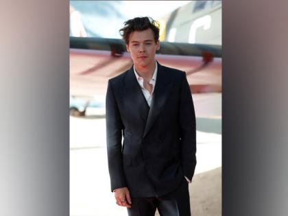 Harry Styles turned down role in 'The Little Mermaid' for music | Harry Styles turned down role in 'The Little Mermaid' for music