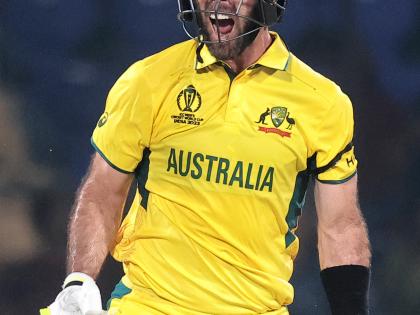 ODI Men's World Cup: Maxwell, Warner smash tons as Australia post 399/8 vs Netherlands | ODI Men's World Cup: Maxwell, Warner smash tons as Australia post 399/8 vs Netherlands