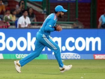 Men's ODI WC: Kohli rated as biggest impact player on the field | Men's ODI WC: Kohli rated as biggest impact player on the field