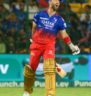 IPL 2024: RCB all-rounder Glenn Maxwell takes 'mental and physical' break after asking to be rested | IPL 2024: RCB all-rounder Glenn Maxwell takes 'mental and physical' break after asking to be rested