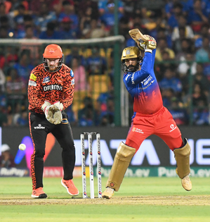 IPL 2024: We will come back stronger, it's knockout time, asserts RCB head coach Andy Flower | IPL 2024: We will come back stronger, it's knockout time, asserts RCB head coach Andy Flower