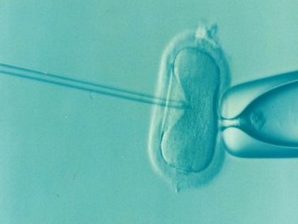 IVF success rates higher at clinics providing more information, says study | IVF success rates higher at clinics providing more information, says study