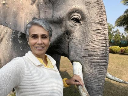 Elephant conservation: India still has a long way to go, says Indo-Canadian biologist (IANS interview) | Elephant conservation: India still has a long way to go, says Indo-Canadian biologist (IANS interview) Elephant conservation: India still has a long way to go, says Indo-Canadian biologist (IANS interview) | Elephant conservation: India still has a long way to go, says Indo-Canadian biologist (IANS interview)