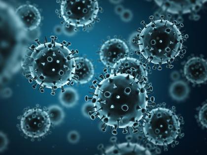 Antibody-based therapies may help fight influenza B: Study | Antibody-based therapies may help fight influenza B: Study Antibody-based therapies may help fight influenza B: Study | Antibody-based therapies may help fight influenza B: Study