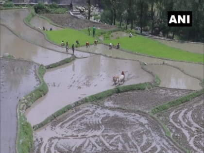 Farmers in J-K's Rajouri rejoice as water for irrigation reaches remote areas | Farmers in J-K's Rajouri rejoice as water for irrigation reaches remote areas
