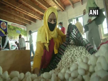 Govt sets up cocoon auction market in Srinagar | Govt sets up cocoon auction market in Srinagar