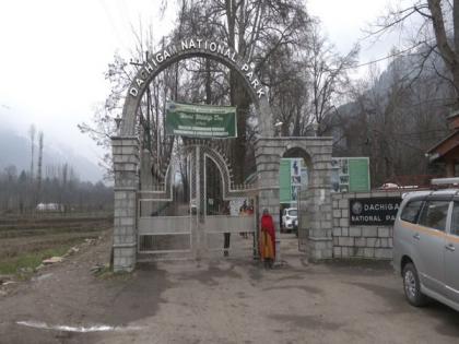 J-K: Dachigam National Park welcomes endangered Red Deer species 'Hangul' | J-K: Dachigam National Park welcomes endangered Red Deer species 'Hangul'