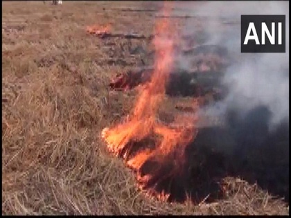 Haryana: FIR against farmers in Kaithal for burning stubble | Haryana: FIR against farmers in Kaithal for burning stubble