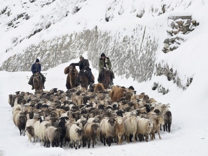 Winter Pasture: Book describing hardships endured by ethnic Kazakh herders of Xinjiang now available to wider audience | Winter Pasture: Book describing hardships endured by ethnic Kazakh herders of Xinjiang now available to wider audience
